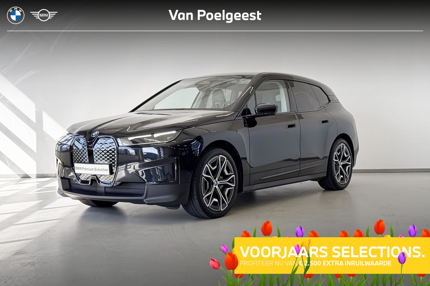 BMW iX - xDrive40 High Executive Shadow Line | Selections 2500 - AutoWereld.nl