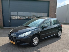 Peugeot 307 - 1.6-16V D.Sign