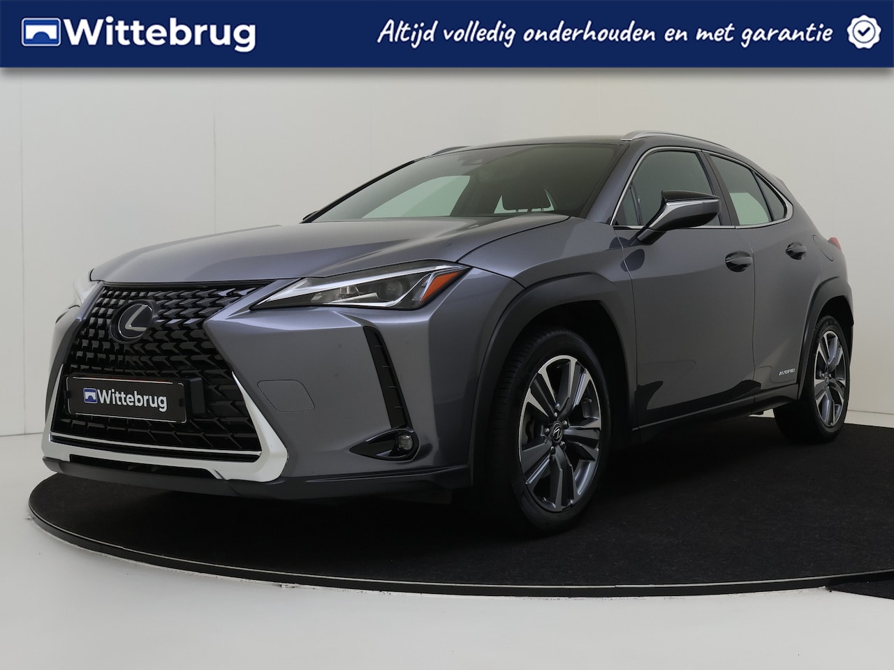Lexus UX - 250h Business Line Hybride | Climate Control | Achteruitrijcamera | Lichtmetalen wielen - AutoWereld.nl