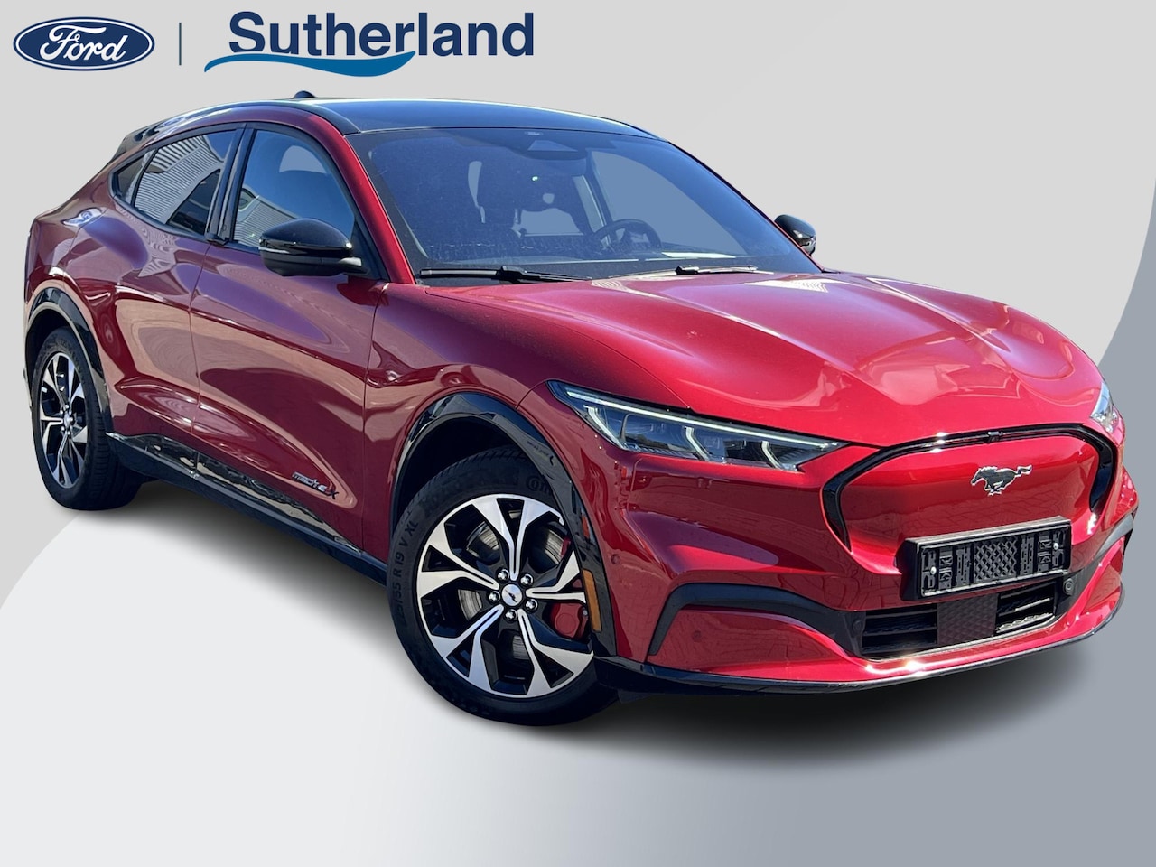 Ford Mustang Mach-E - Extended Premium RWD 98 kWh 294pk | Technology Pack | Panoramadak - AutoWereld.nl