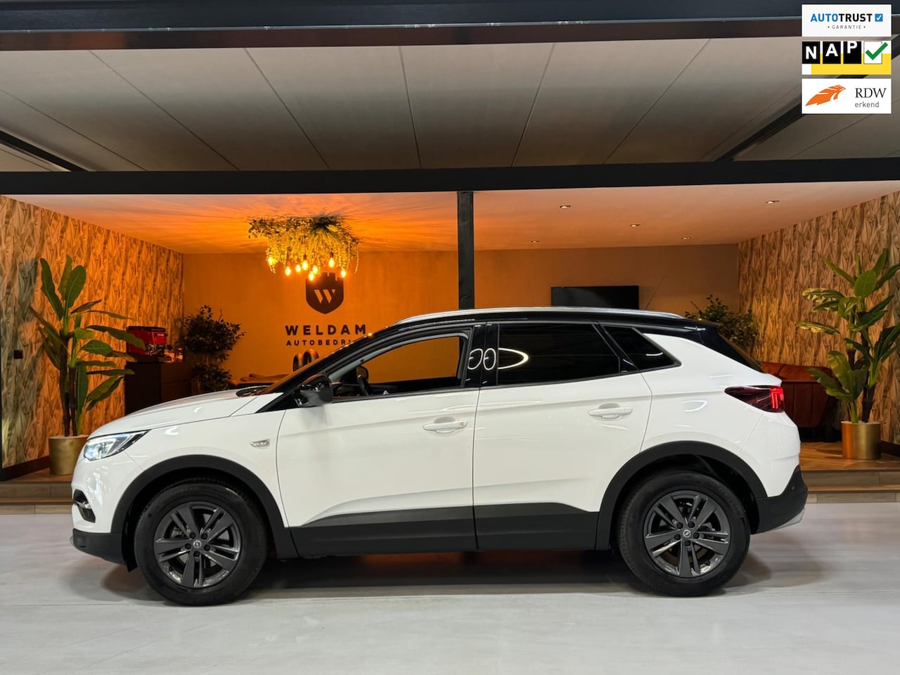 Opel Grandland X - 1.2 Turbo GS Line Garantie CarPlay Camera PDC Lane LED Cruise Clima Navi Rijklaar - AutoWereld.nl