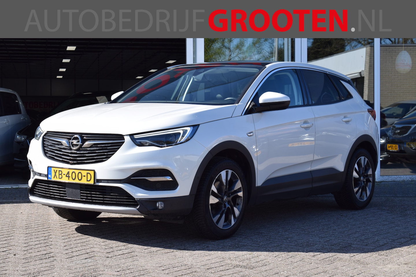 Opel Grandland X - 1.2 Turbo Business Executive PANORAMA - AutoWereld.nl