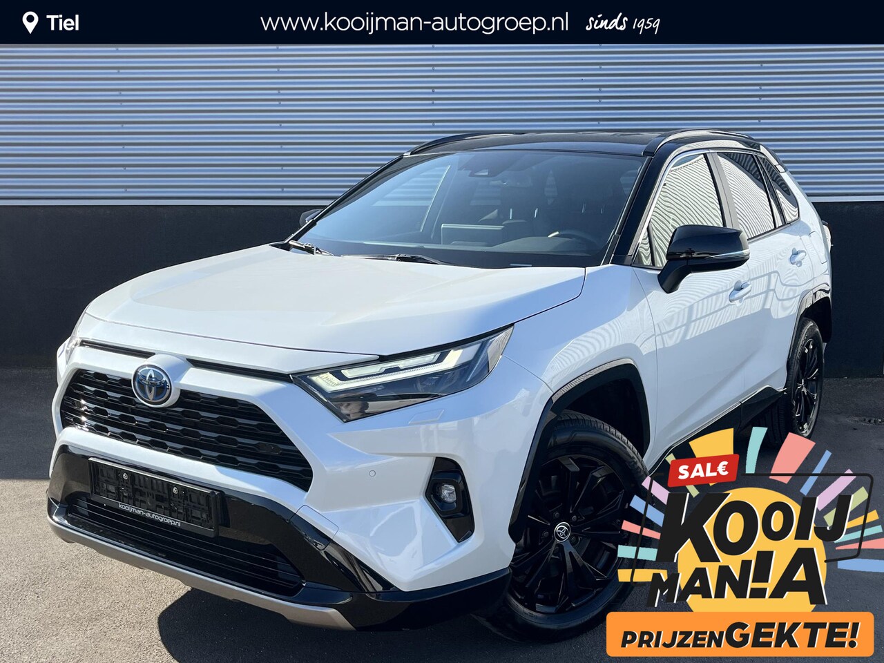 Toyota RAV4 - 2.5 Hybrid AWD Bi-Tone Navigatie, Stoel- & Stuurwielverwarming, JBL, LED, LMV, Nieuw Type, - AutoWereld.nl