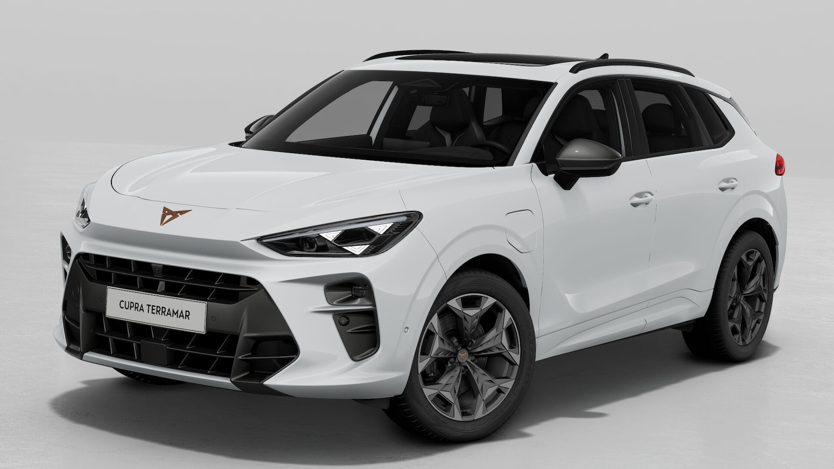 CUPRA Terramar - 1.5 TSI e-Hybrid 204 6DSG Business | 360 graden camera | Achteruitrijcamera | Draadloze Ap - AutoWereld.nl