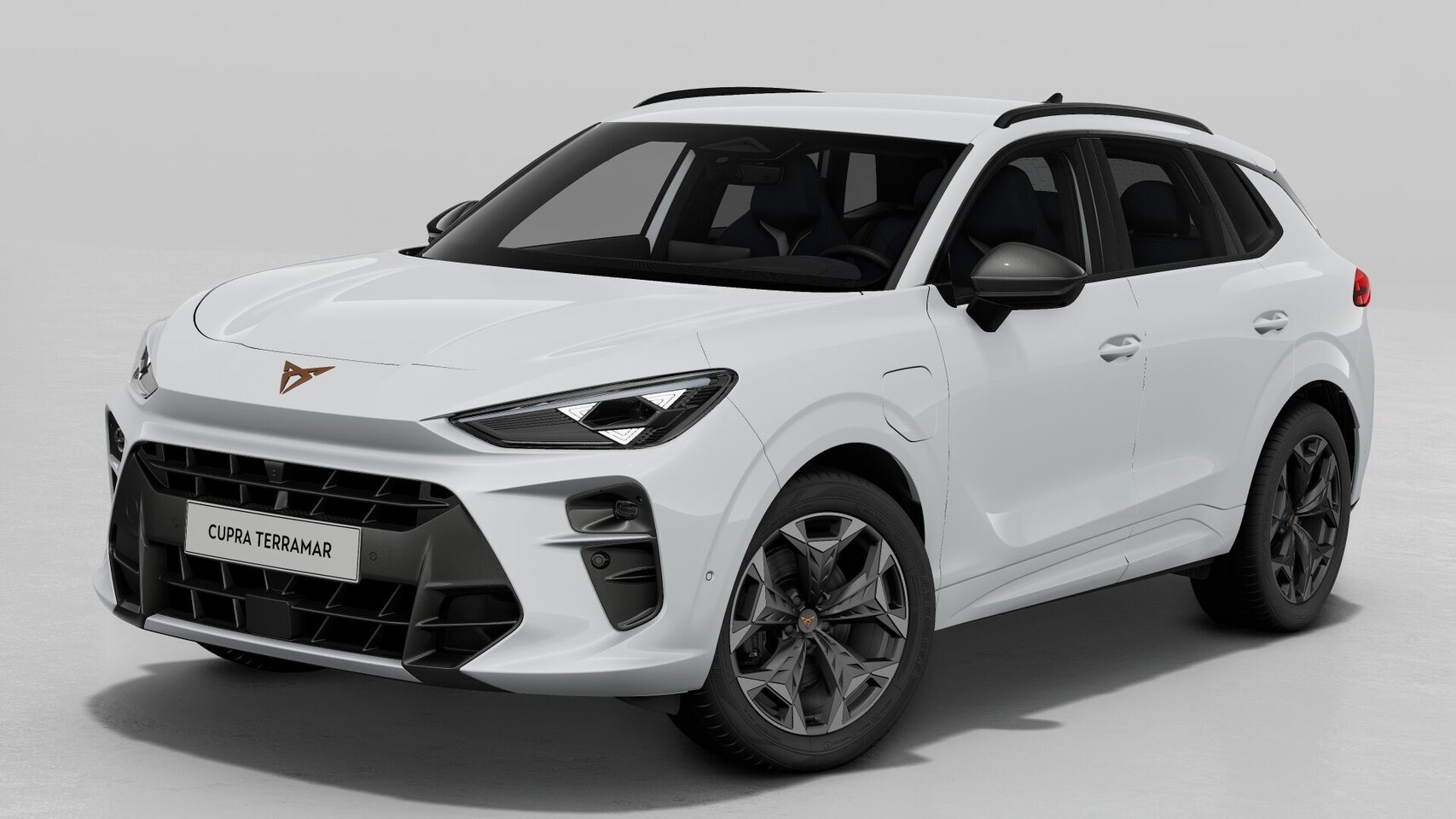 CUPRA Terramar - 1.5 TSI e-Hybrid 272 6DSG VZ Performance | 360 graden camera | Achteruitrijcamera | Draadl - AutoWereld.nl