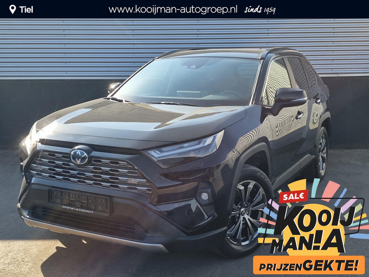 Toyota RAV4 - 2.5 Hybrid AWD Executive Schuif/kanteldak / panorama dak | Stoel- & Stuurwielverwarming, D - AutoWereld.nl