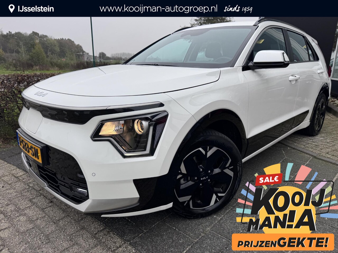 Kia Niro EV - DynamicLine 64.8 kWh | Sensoren Voor/Achter | Adaptieve Cruise Control | Keyless | Metalli - AutoWereld.nl