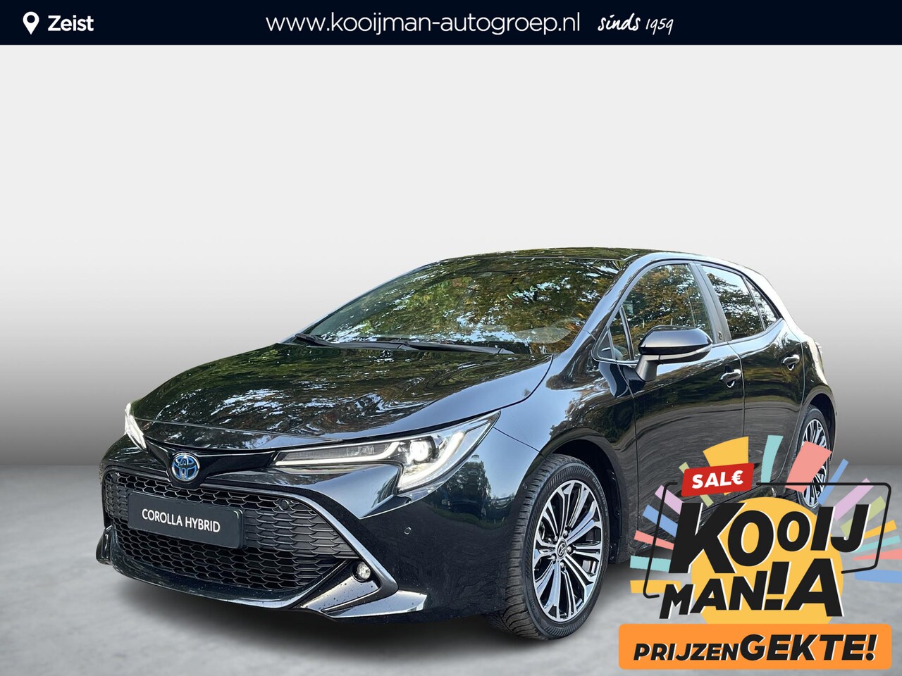 Toyota Corolla - 1.8 Hybrid Executive limited PDC V+A BSM - AutoWereld.nl