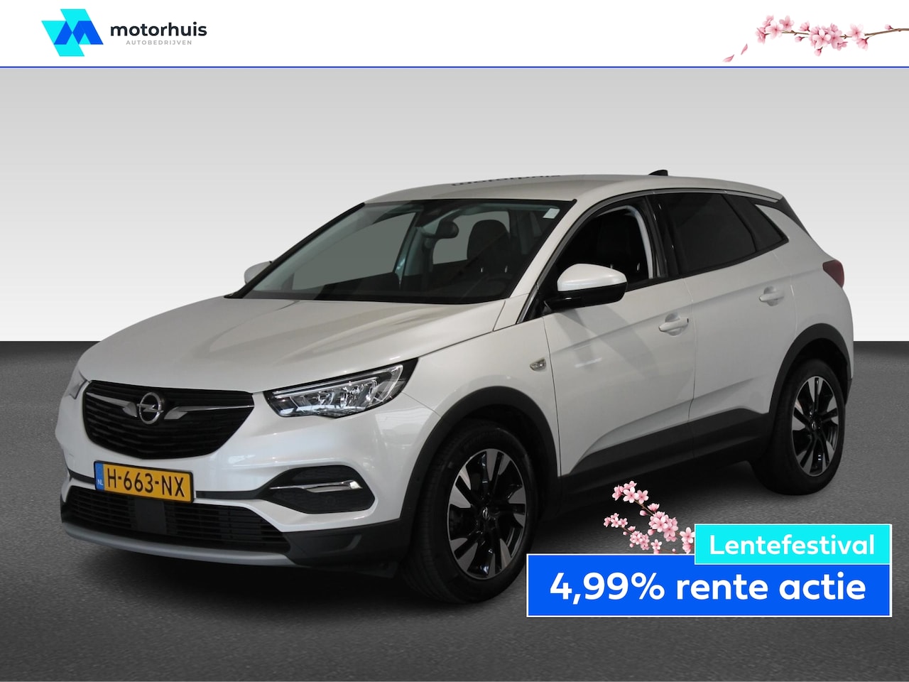 Opel Grandland X - 1.2 TURBO 130PK BUSINESS EXECUTIVE NAVI PDC ECC KEYLESS 18INCH NAP - AutoWereld.nl