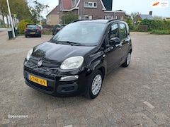 Fiat Panda - 1.2 Classic Plus