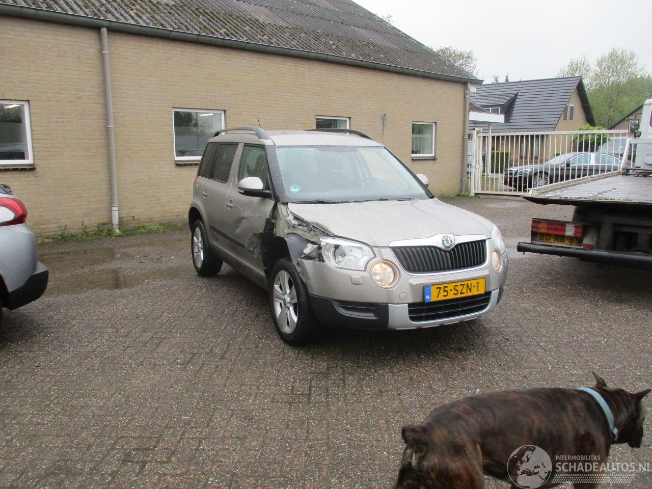 Skoda Yeti - 1.2 TSI Aut Tour NAP REST BPM 500 EURO !!!! - AutoWereld.nl