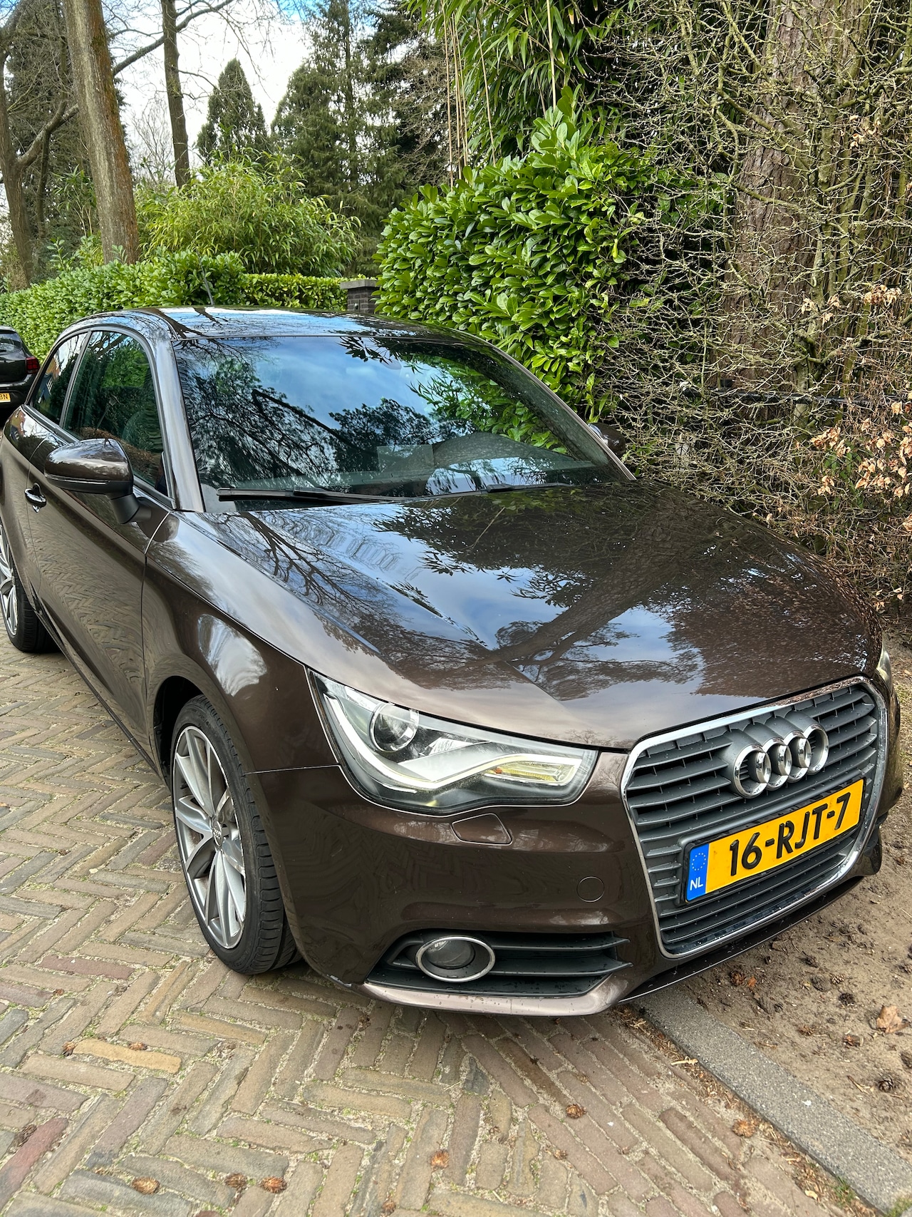 Audi A1 - 1.2 TFSI Ambition Pro Line Business - AutoWereld.nl