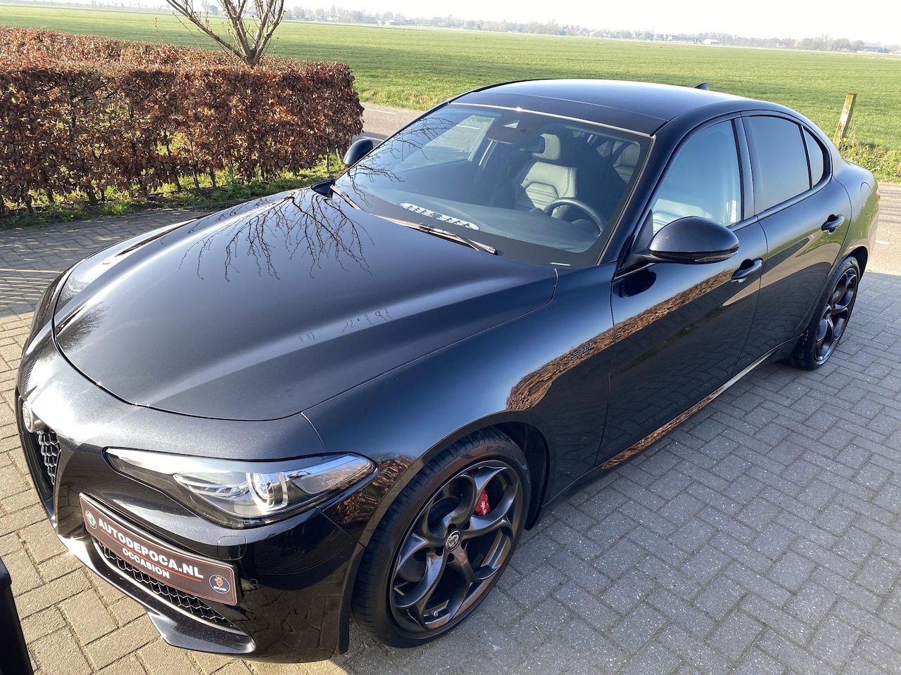 Alfa Romeo Giulia - 2.0T Sprint Panorama dak, schakelflippers. 19 inch. - AutoWereld.nl