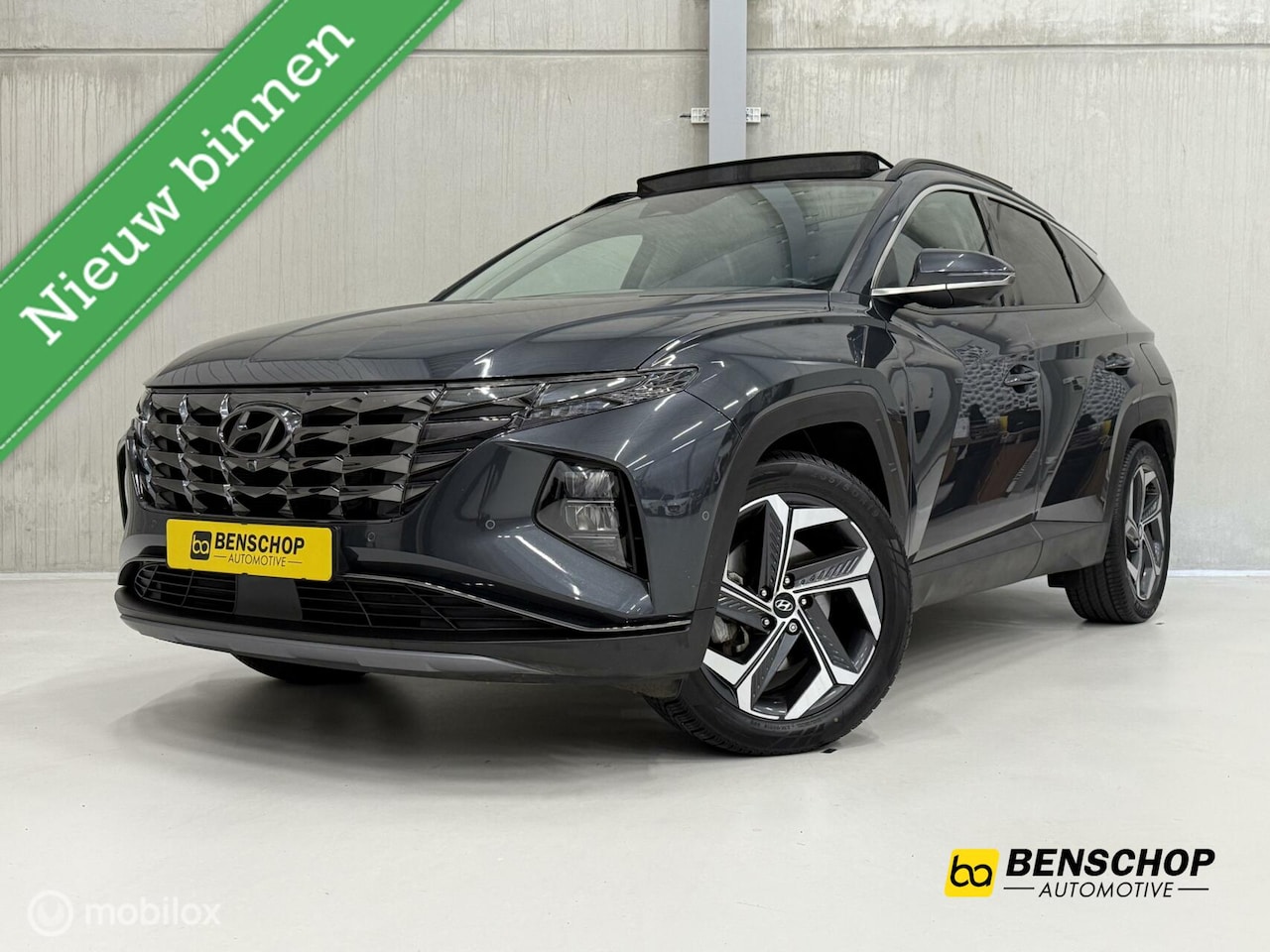 Hyundai Tucson - 1.6 T-GDI HEV Premium Sky Panodak Navi Carplay Camera ACC LED Krell - AutoWereld.nl