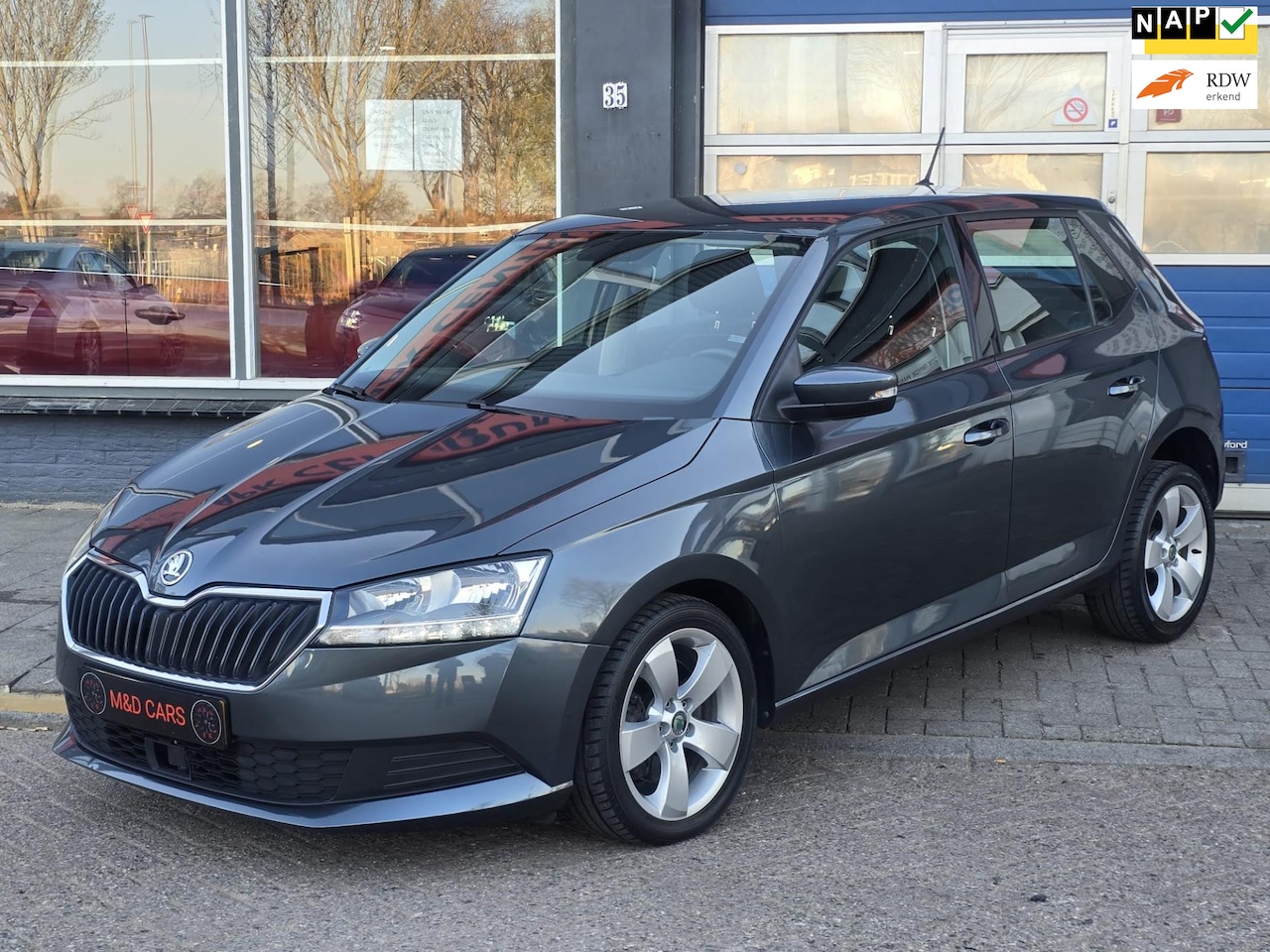 Skoda Fabia - 1.0 TSI Ambition DSG AUTOMAAT AIRCO - AutoWereld.nl