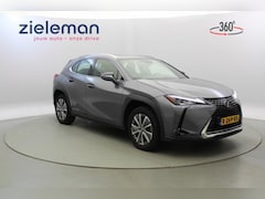 Lexus UX - 300e Business 54 kWh - Navi, Camera