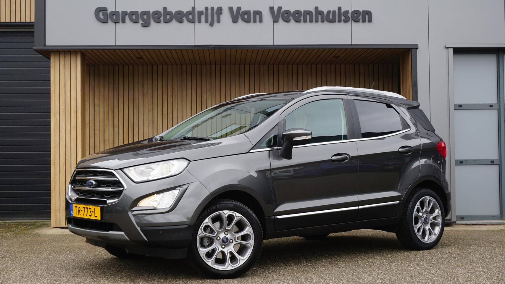 Ford EcoSport - 1.0 126pk 5Drs EcoBoost Titanium Business B&O 17inch LM Stoel&Stuurverwarming Trekhaak Key - AutoWereld.nl
