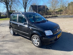 Fiat Panda - 1.1 Young
