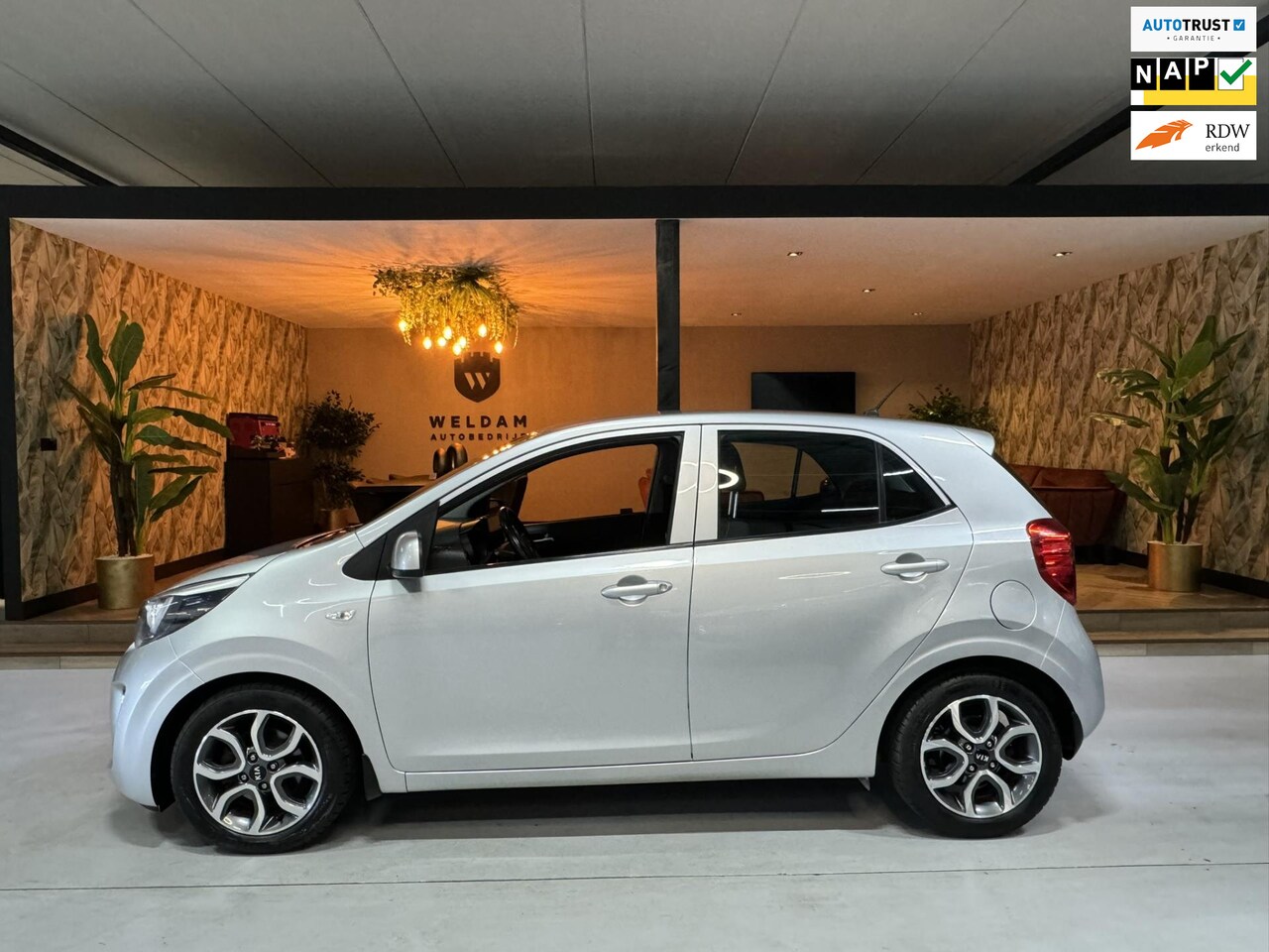 Kia Picanto - 1.2 CVVT Garantie LED Navi Cruise Clima Stoel/Stuur Verwarming PDC Rijklaar - AutoWereld.nl