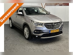 Opel Grandland X - 1.2 Turbo Business Edition 10 op Voorraad NAVIGATIE CRUISE CONTROL APPLE CARPLAY/ANDROID R