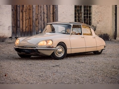 Citroën DS - D Special 506 Pictures online