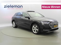 Audi e-tron - 50 quattro Launch edition plus 71 kWh - Leer
