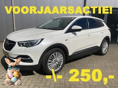 Opel Grandland X - 1.2 Turbo Business Executive Automaat | Trekhaak | Apple carplay | Parkeersensoren voor en
