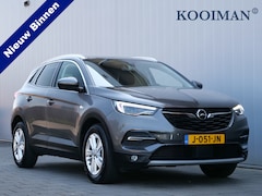 Opel Grandland X - 1.2 Turbo 130pk Business Executive Camera / LED-koplampen / Apple CarPlay