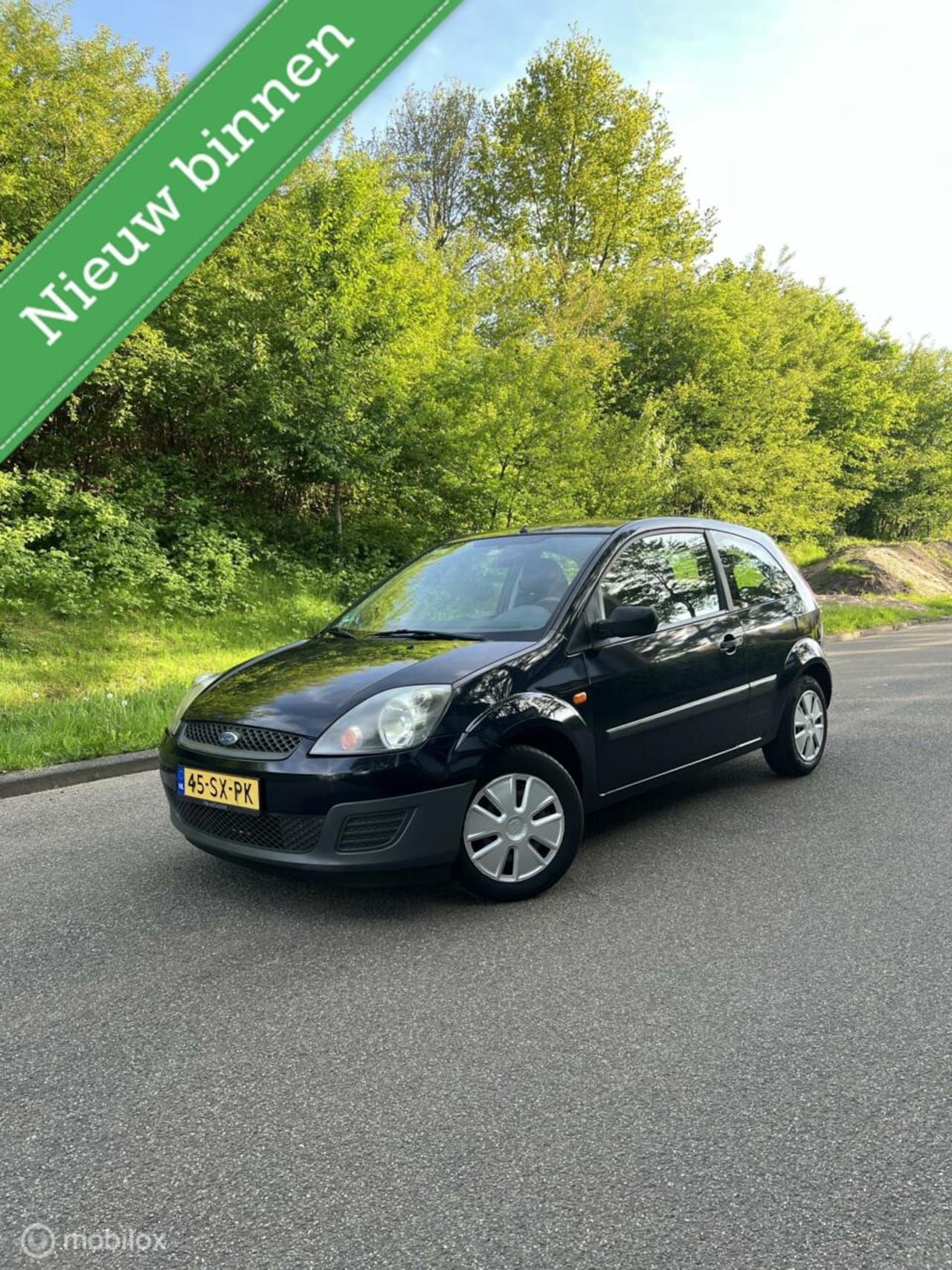 Ford Fiesta - 1.3-8V Style 1.3-8V Style - AutoWereld.nl