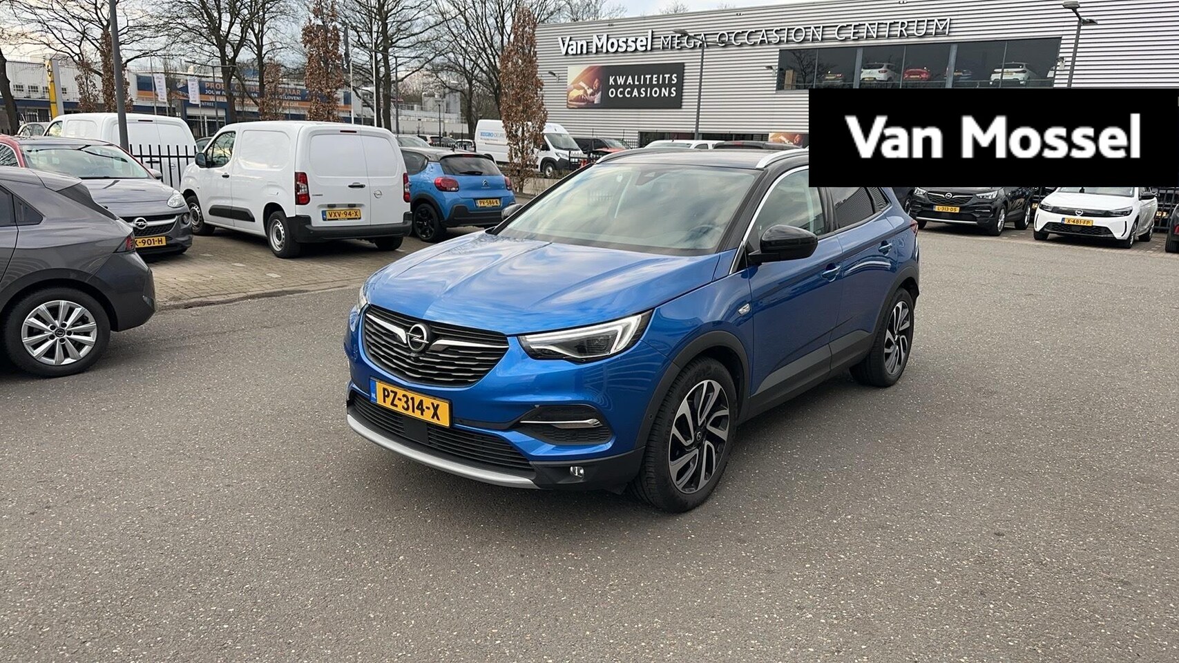 Opel Grandland X - 1.2 Turbo Online Edition 1.2 Turbo Online Edition - AutoWereld.nl
