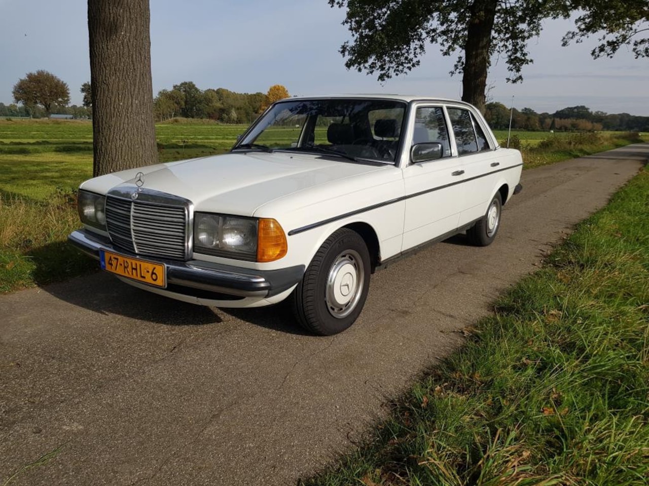 Mercedes-Benz 200-280 (W123) - 200 200 - AutoWereld.nl