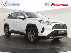 Toyota RAV4 - 2.5 Hybrid Edition Plus | BLS | JBL | Parkeersensoren V+A