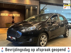 Ford Fiesta - 1.0 EcoBoost Titanium | Clima | PDC |