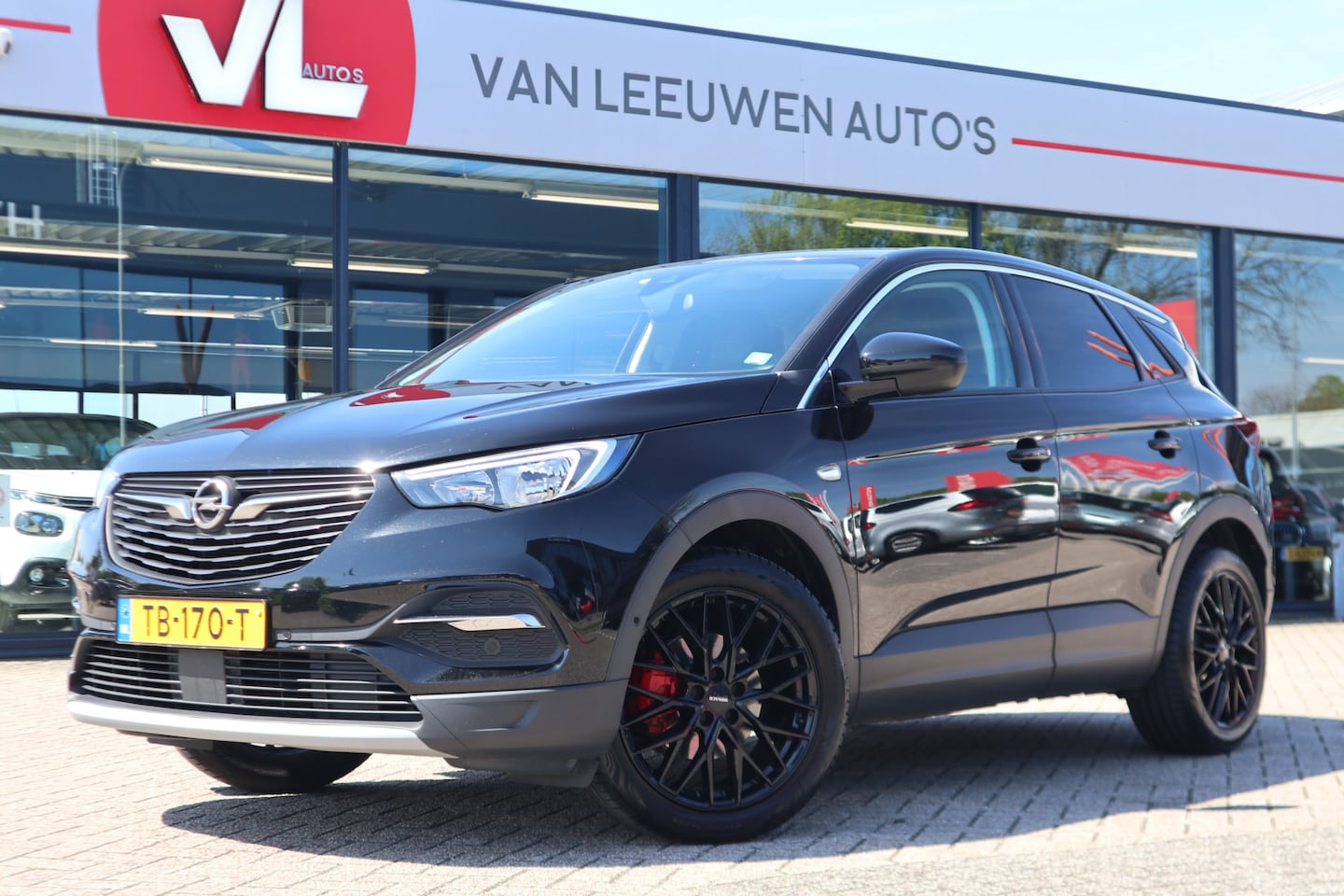 Opel Grandland X - 1.2 Turbo Business Executive | Stoelverkoeling | Stuurverwarming | Automaat - AutoWereld.nl
