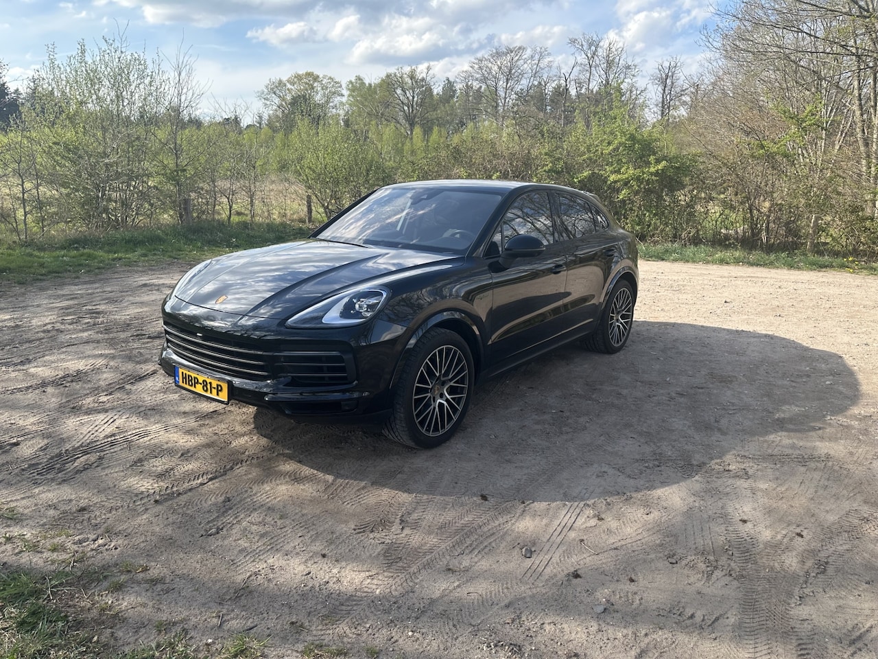 Porsche Cayenne - 3.0 E-Hybrid Platinum Edition - AutoWereld.nl