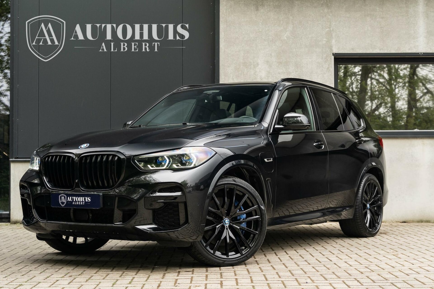 BMW X5 - xDrive45e M-Sport B&W Carbon Massage Night Vision 22' - AutoWereld.nl