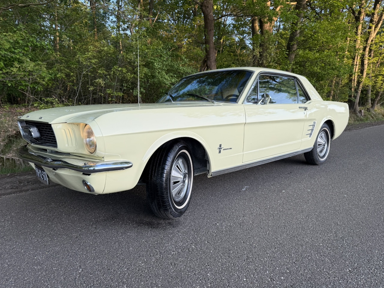 Ford Mustang - 1966 - AutoWereld.nl