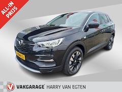 Opel Grandland X - 1.2 Turbo Business Executive | Climate Control | Panoramadak | Cruise Control |