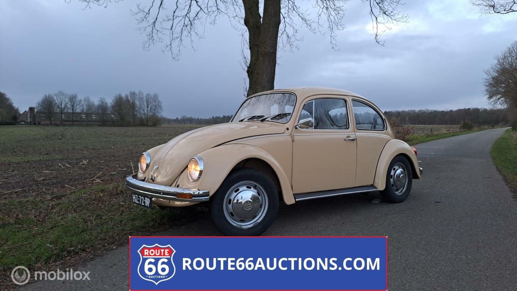 Volkswagen Kever - 1982 | Route 66 auctions - AutoWereld.nl
