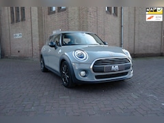 MINI One - 1.5 Salt