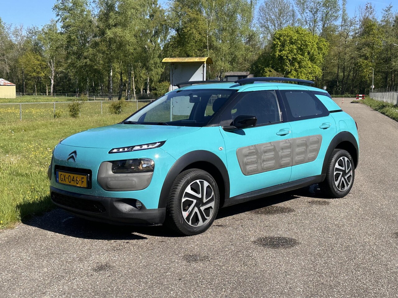 Citroën C4 Cactus - 1.2 PureTech Business | Cruise Control & Camera | Topstaat - AutoWereld.nl