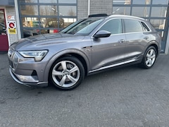 Audi e-tron - e-tron 50 quattro Launch edition plus 71 kWh