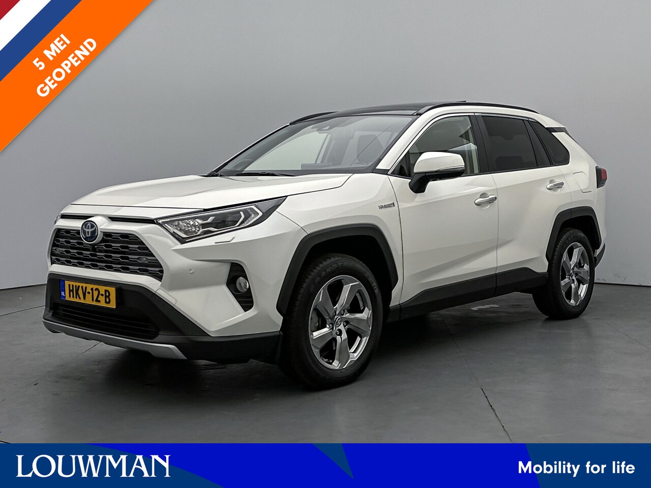 Toyota RAV4 - 2.5 Hybrid Executive Limited | Elektrisch glazen panoramadak | Rijcamera 360 graden | - AutoWereld.nl