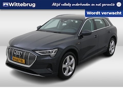 Audi e-tron - e-tron 50 quattro Launch edition plus 71 kWh / Led / Pano / Parkeersensoren V+A / Afneemba