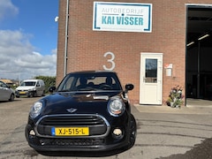MINI One - 1.2 Salt Business