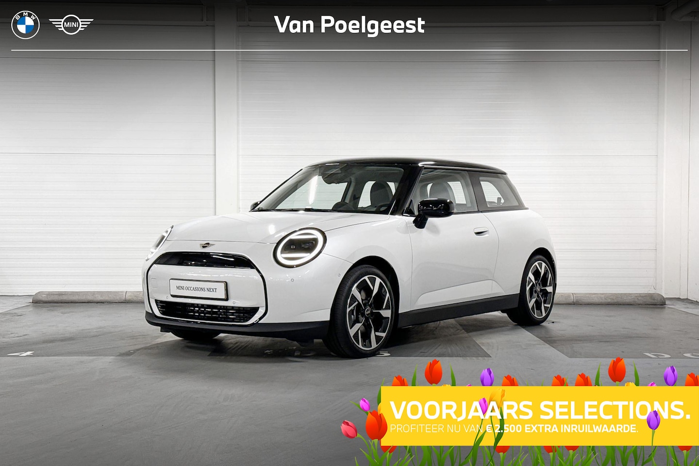 MINI Cooper - E | Classic Trim | Pakket S | 18" Slide Spoke Two-Tone | Selections - AutoWereld.nl