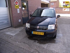 Fiat Panda - 1.2 Edizione Cool