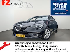 Renault Mégane Estate - 1.3 TCe Limited | Ruime familie auto | Trekhaal | L.M Velgen |