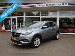 Opel Grandland X - 1.2 Turbo Business Executive, Cruise, Carplay, Navi
