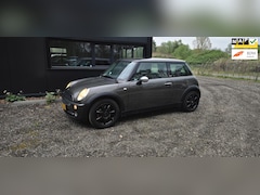 MINI One - 1.6 Park Lane |NAP| NL auto